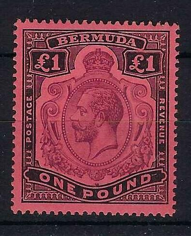 Image of Bermuda 55 UMM